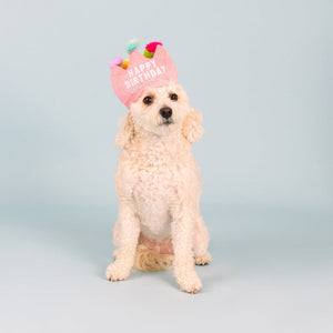 If The Crown Fits Happy Birthday Plush Dog Toy