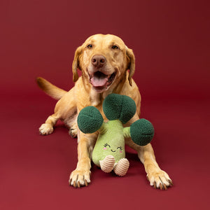 Brocc Star Plush Dog Toy