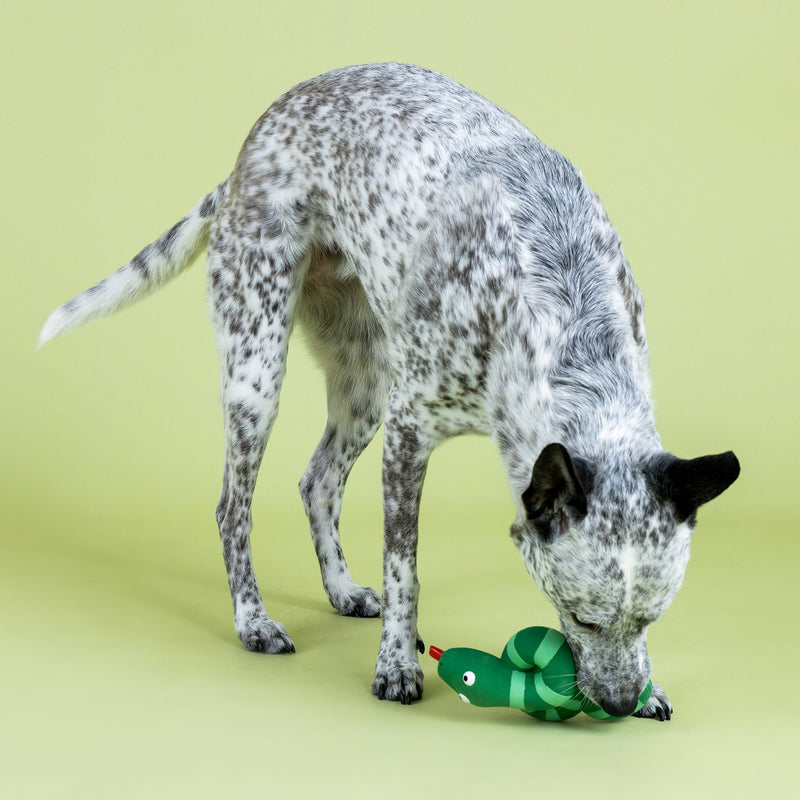 Knotty By Nature Snake Latex Dog Toy