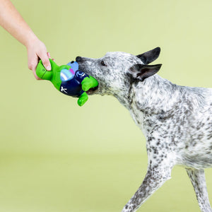 Good Vibes, High Tides Latex Dog Toy