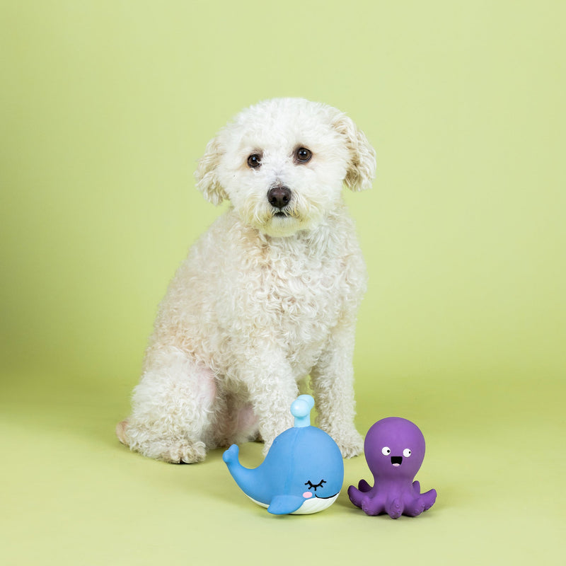 Happy To Sea You 2pc Latex Dog Toy Set