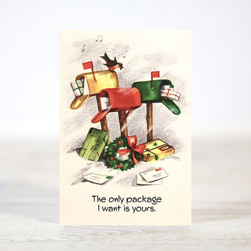 Dirty & Flirty - 12 Days of Christmas Cards Set