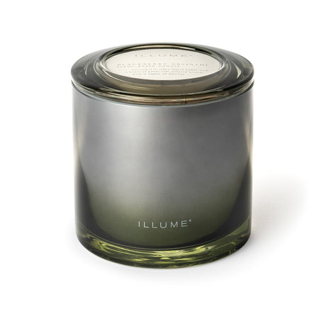 Statement Glass Triple Wick Candle Blackberry Absinthe 20.8oz