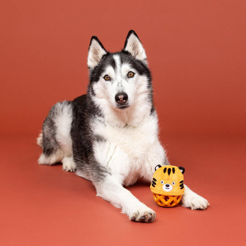 Go Get Em Tiger Rubber/Plush Treat Dispenser Dog Toy