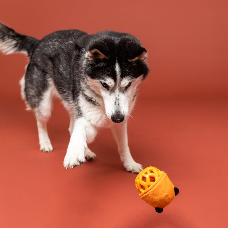 Go Get Em Tiger Rubber/Plush Treat Dispenser Dog Toy