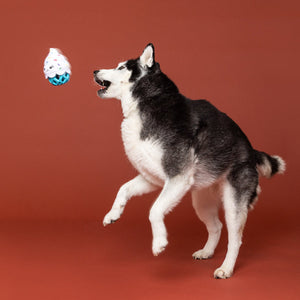 Here For The Cupcakes Rubber/Plush Treat Dispenser Dog Toy