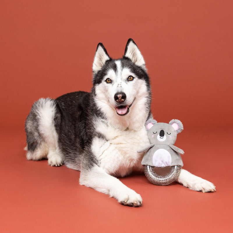 Koal-Ity Vibes Only! Rubber/Plush Koala Dog Toy
