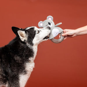 Koal-Ity Vibes Only! Rubber/Plush Koala Dog Toy