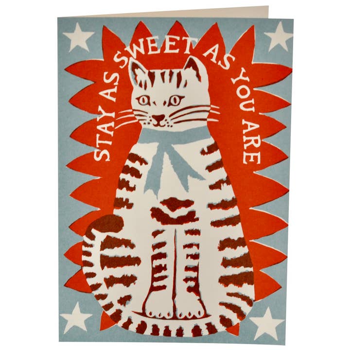 Very Large Any Occasion Greeting Card - Sweet Cat