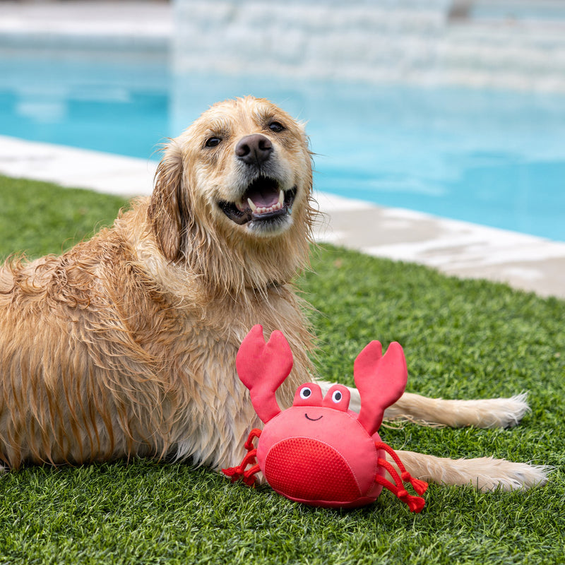 Claws Crab Floating Pool Dog Toy