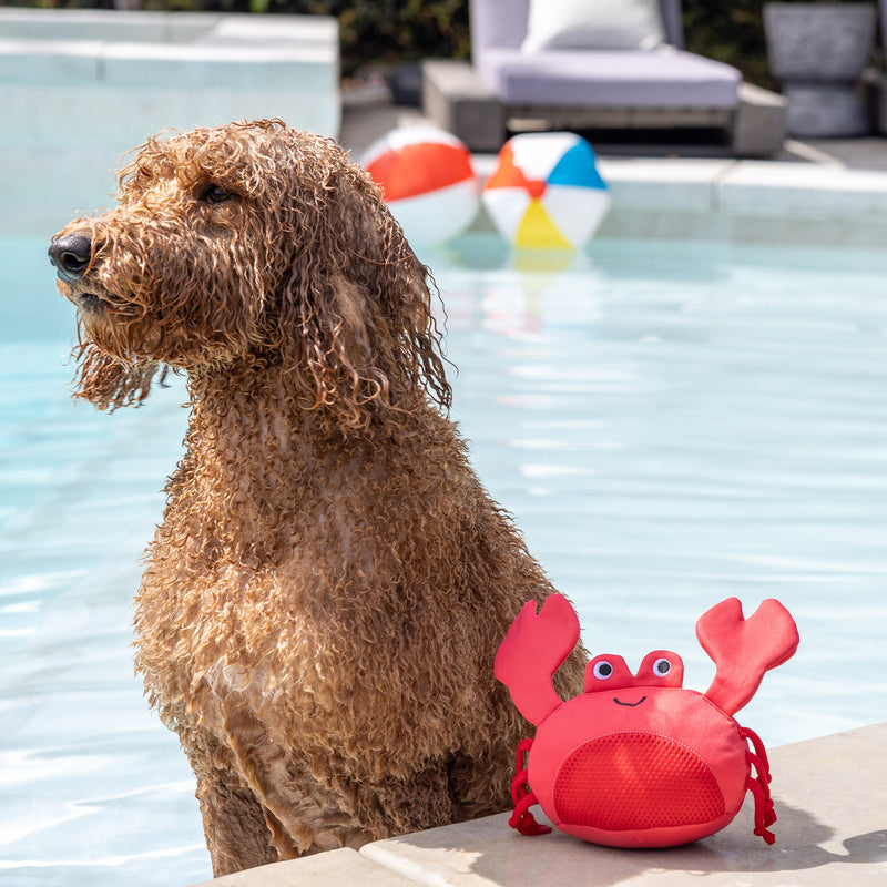 Claws Crab Floating Pool Dog Toy