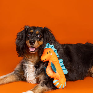 Living in A Bubble Pool Floating Seahorse Dog Toy