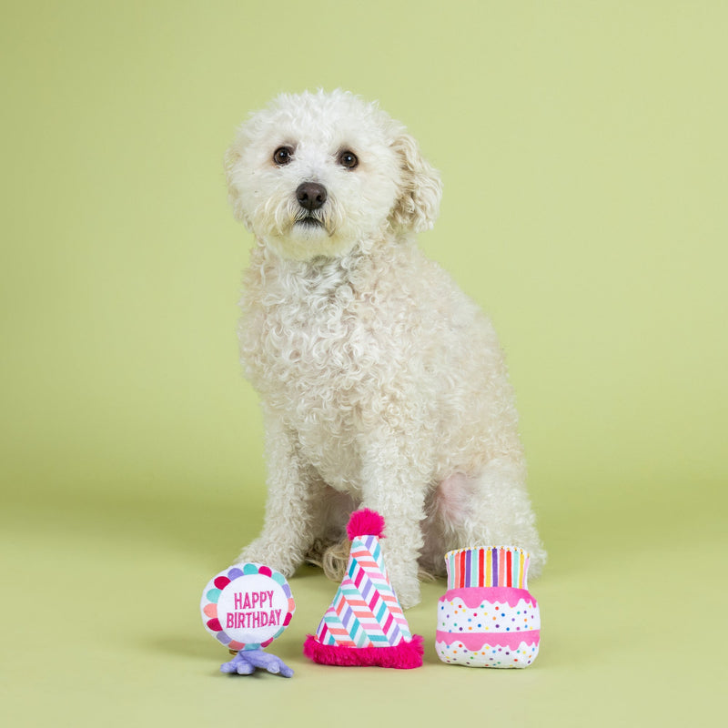Can I Get A Woof-Woof Small Dog Birthday 3 Piece Toy Set