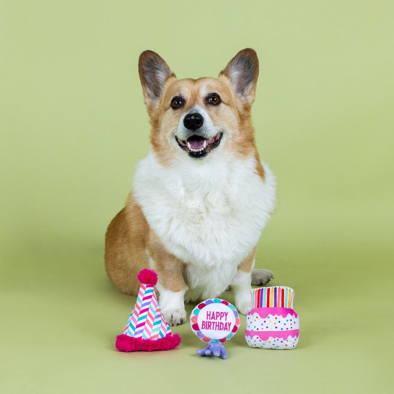 Can I Get A Woof-Woof Small Dog Birthday 3 Piece Toy Set