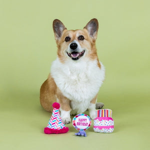 Can I Get A Woof-Woof Small Dog Birthday 3 Piece Toy Set