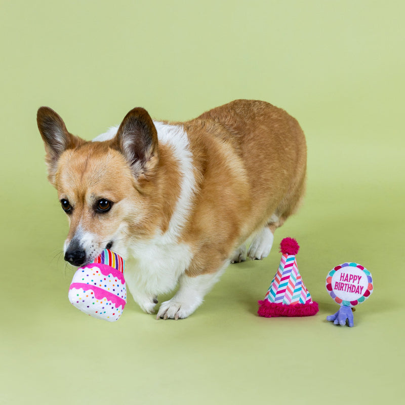 Can I Get A Woof-Woof Small Dog Birthday 3 Piece Toy Set