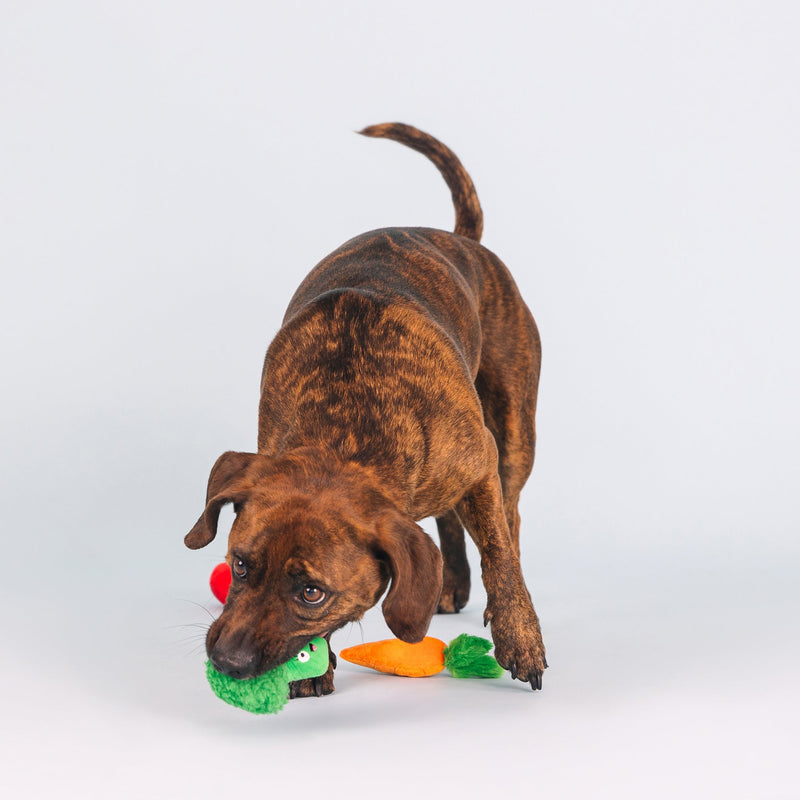 Farm to Table Vegetables Small Dog 3 Piece Toy Set