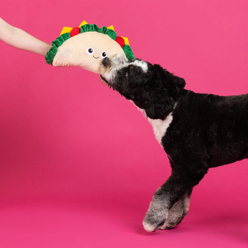 Fantas Taco Large Dog Plush Toy