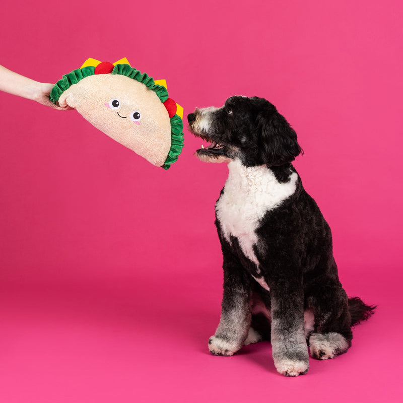 Fantas Taco Large Dog Plush Toy