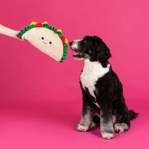 Fantas Taco Large Dog Plush Toy