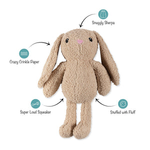 Hoppy To See You Rabbit Large Plush Dog Toy