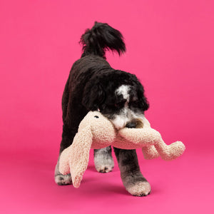 Hoppy To See You Rabbit Large Plush Dog Toy