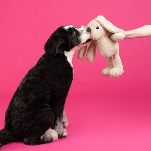 Hoppy To See You Rabbit Large Plush Dog Toy