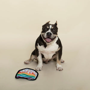 Piece of Cake Durable Rainbow Dog Toy