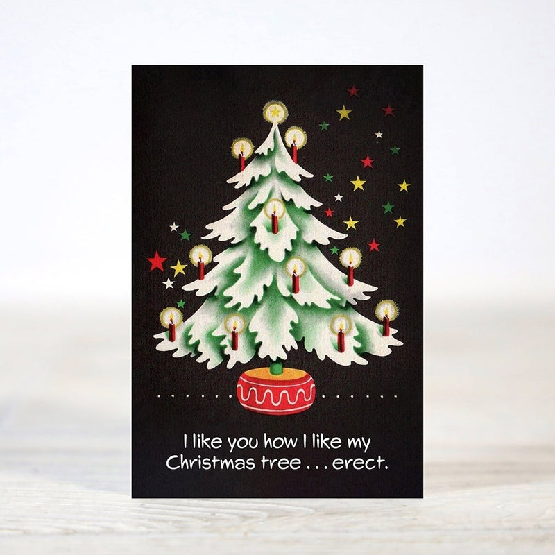 Dirty & Flirty - 12 Days of Christmas Cards Set