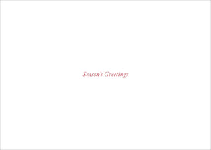 Merry Evergreens Deluxe Box Holiday Cards