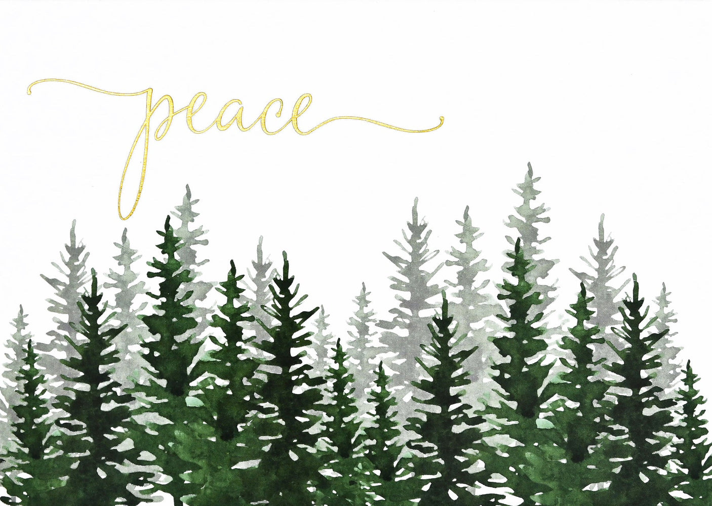 Winter Evergreens Peace Deluxe Box Holiday Cards