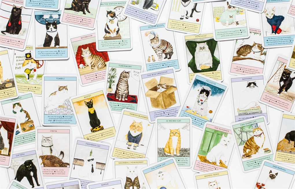 Cat Gurus - Advice Card Deck Showing All Illustrated Cards Spread Out