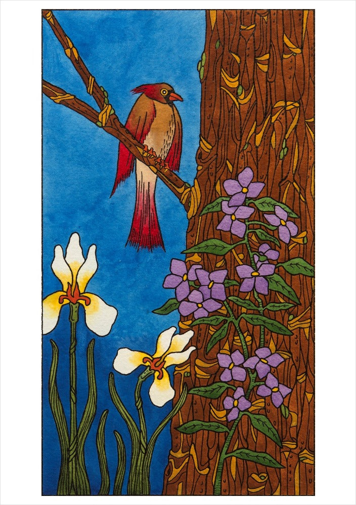 CJ Hurley: Birds Boxed Notecard Assortment Interior Style 2 - Cardinal, 2017