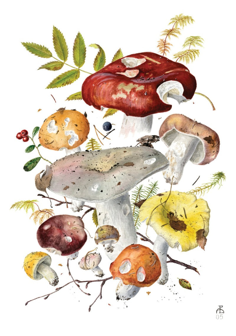Mushrooms: Alexander Viazmensky Boxed Notecard Assortment Interior Forest Bouquet II