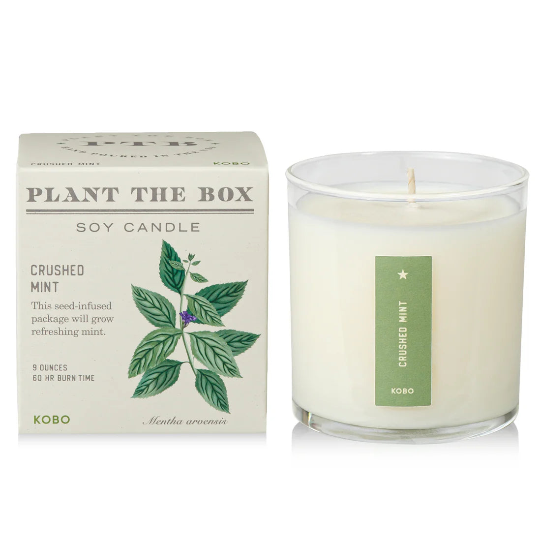 Crushed Mint - Pure Soy Candle Plantable Box