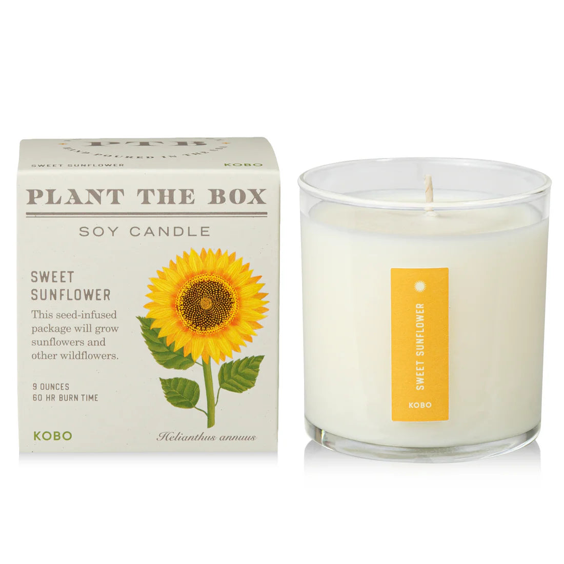 Sweet Sunflower - Pure Soy Plant The Box Candle