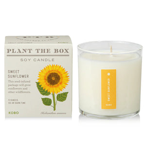 Sweet Sunflower - Pure Soy Plant The Box Candle