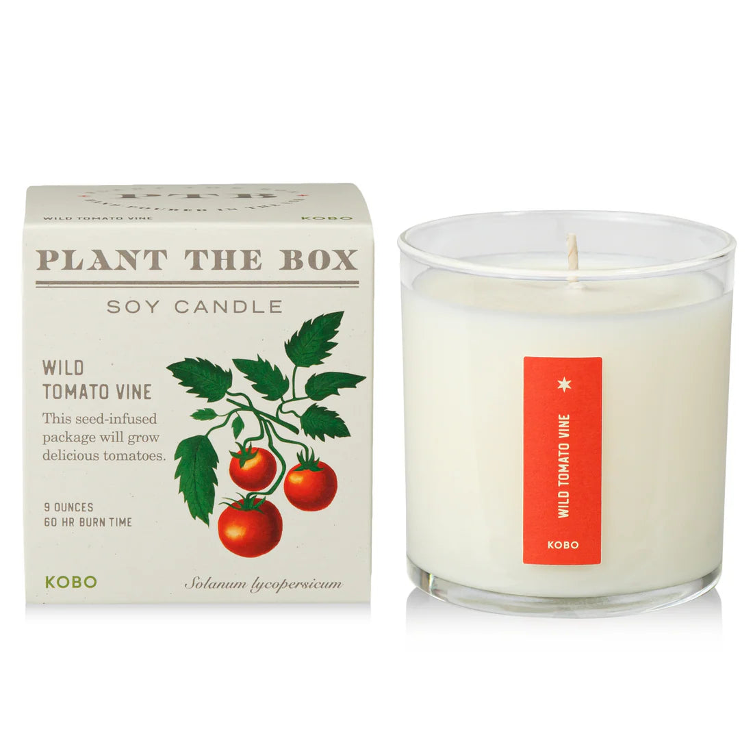 Wild Tomato Vine - Pure Soy Candle Plant The Box