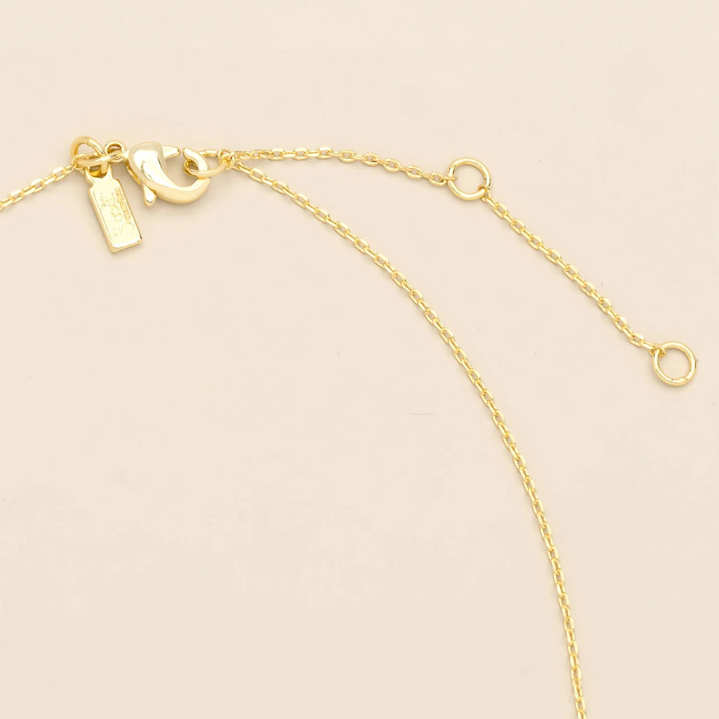 Pressed Flower Necklace - Gold - Blue Baby's Breath