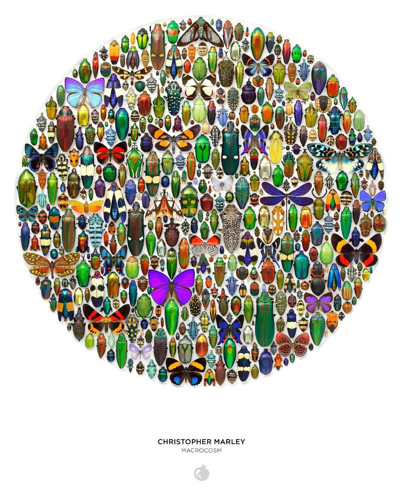 Christopher Marley: Macrocosm 500-Piece Circular Jigsaw Puzzle Interior Poster
