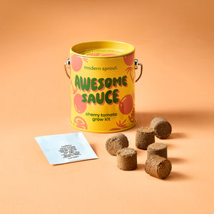 Complimentary Colors Garden Grow Kit - Cherry Tomato - Hello World Modern Mercantile