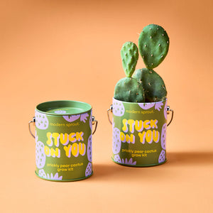 Complimentary Colors Garden Grow Kit - Prickly Pear Cactus