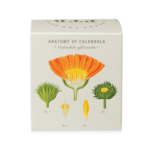Catalan Calendula - Pure Soy Candle Plantable Box