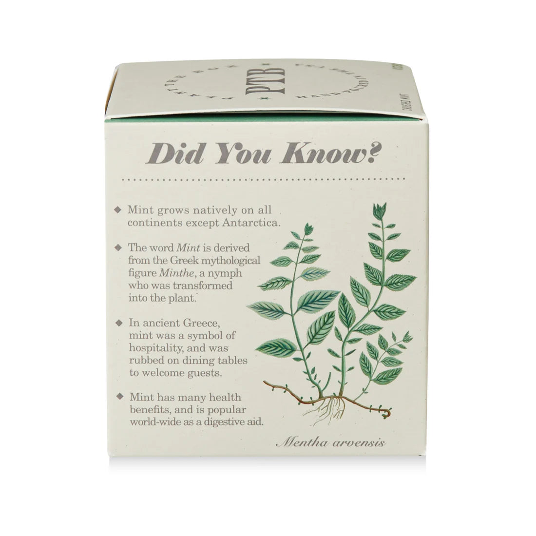 Crushed Mint - Pure Soy Candle Plantable Box