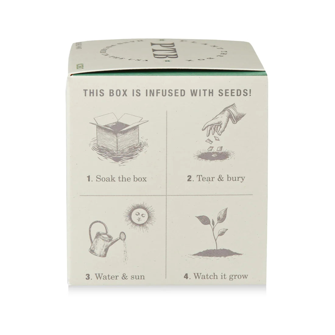 Crushed Mint - Pure Soy Candle Plantable Box