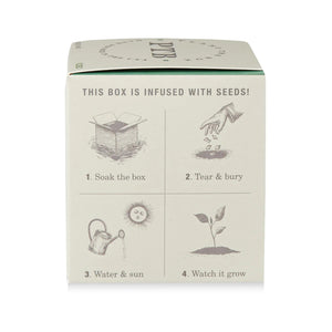 Crushed Mint - Pure Soy Candle Plantable Box
