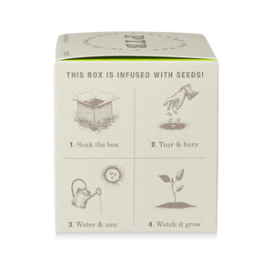Fresh Picked Basil - Pure Soy Candle Plantable Seed-Infused Box