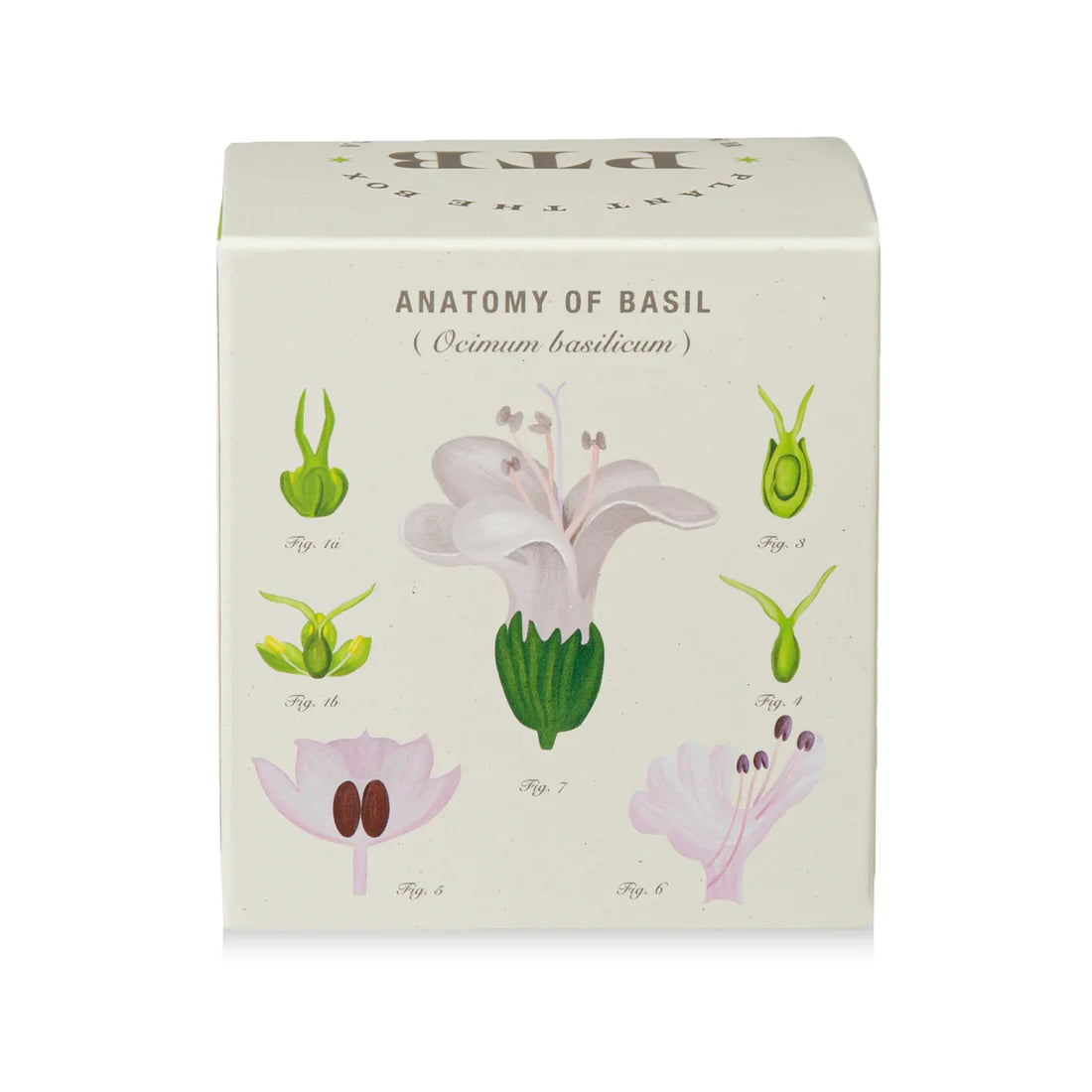 Fresh Picked Basil - Pure Soy Candle Plantable Seed-Infused Box