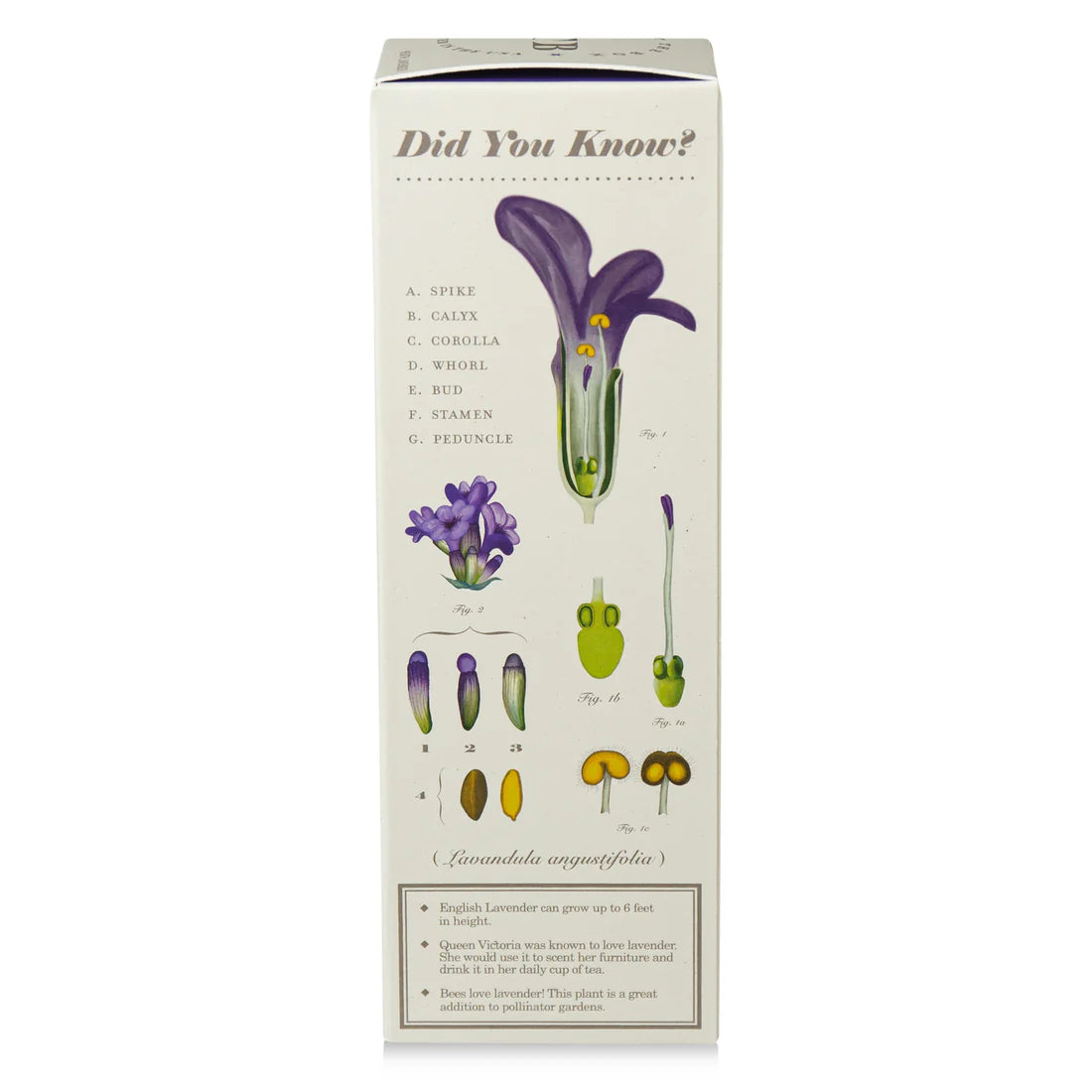 Heath Lavender - Plant The Box Scented Reed Diffuser