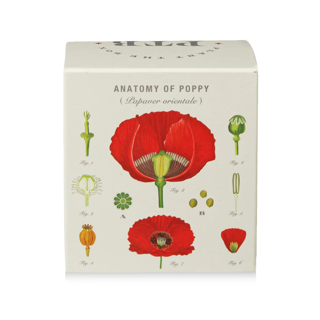 Red Poppy Flower - Pure Soy Candle Plantable Box